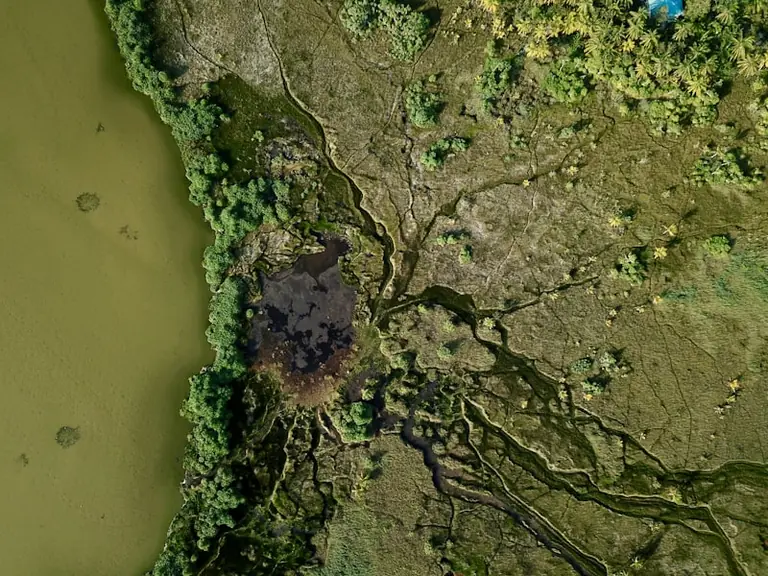 Feux de forêt le 16 août : la carte à vérifier avant de sortir