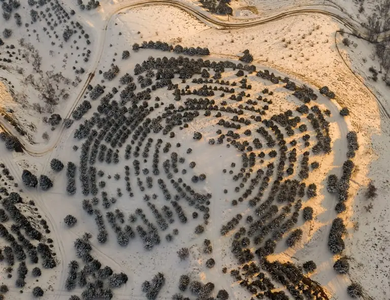 Feux de forêt le 16 août : la carte à vérifier avant de sortir