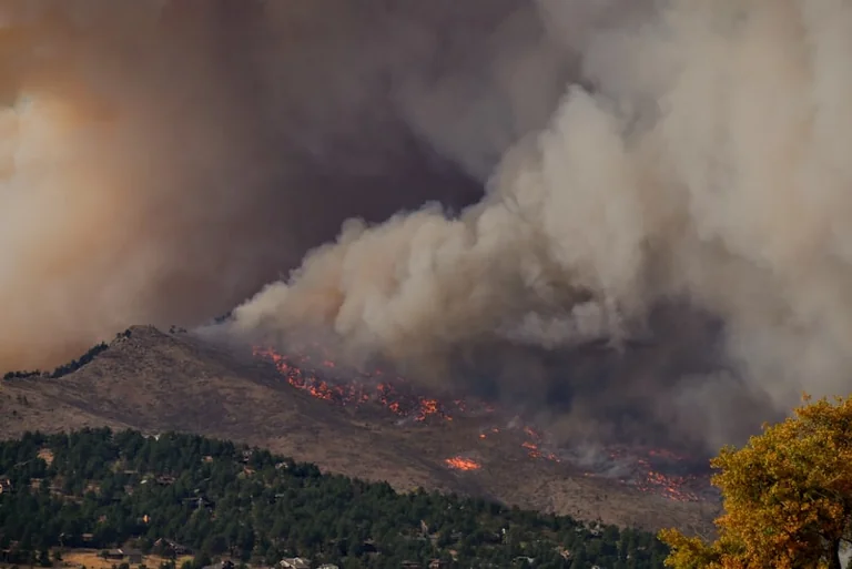 Feux de forêt : les vérifications à faire ce 11 août