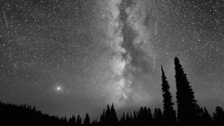 Ciel nocturne étoilé avec la Voie lactée et une pluie de météores au-dessus des arbres.