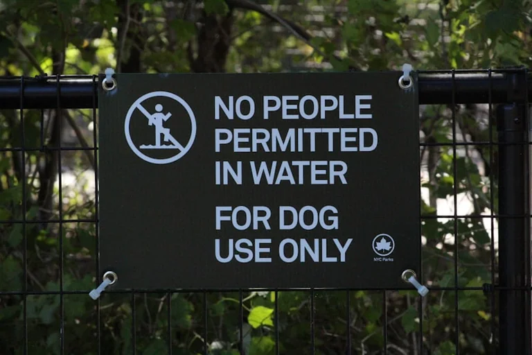 Restrictions d’eau : vérifiez votre commune avant tout usage