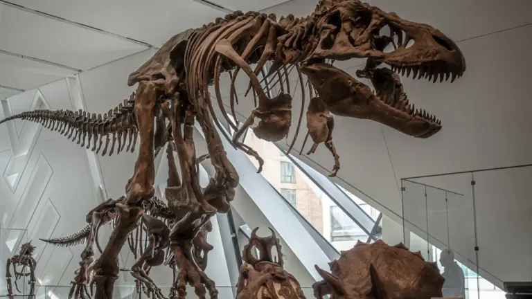 Une plongée dans l’histoire des dinosaures à Elbeuf