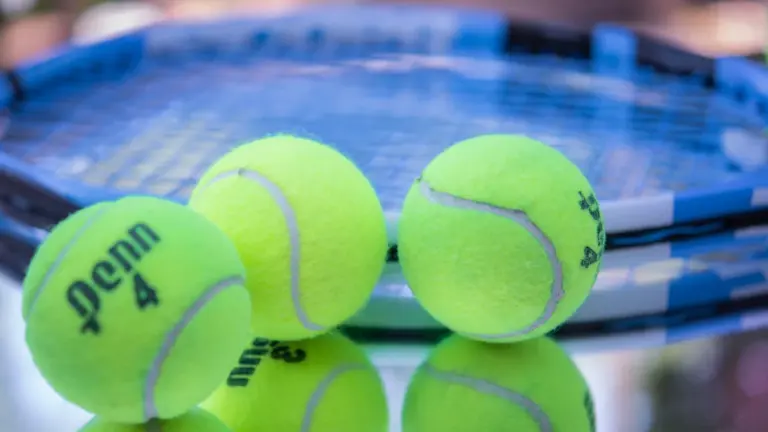 US Open 2026 : un Français en quarts d’ici au 7 septembre ?