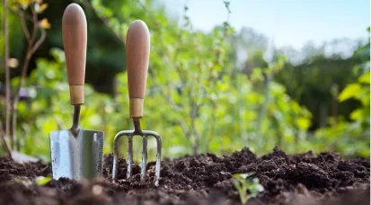 « Zoom sur les aromates » à Grand Quevilly, gratuit le 17 août