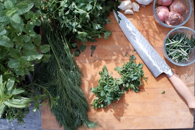 « Zoom sur les aromates » à Grand Quevilly, gratuit le 17 août