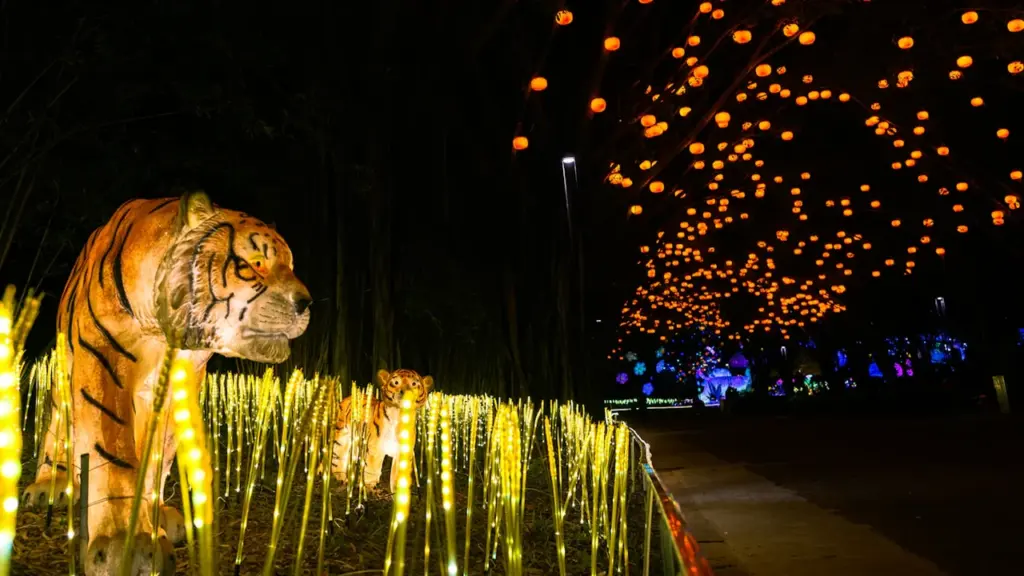 Installation artistique de lanternes lumineuses en forme de tigre au parc Sainte-Barbe.