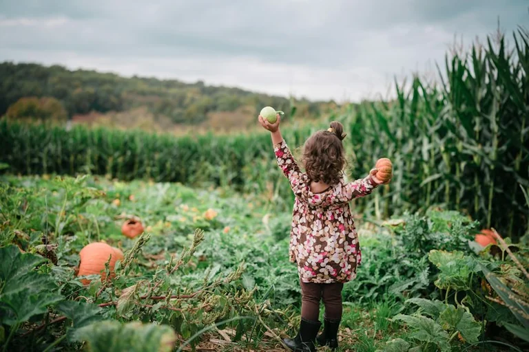 Halloween 2026 en France : date, sécurité des enfants et budget