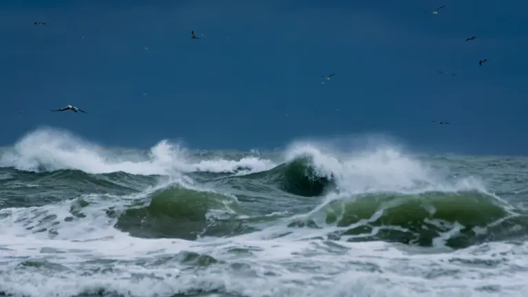 Rêver de la mer agitée : lire son émotion avant le symbole