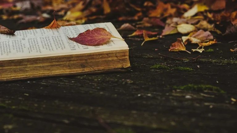Victor Hugo et l’inconnu : apprivoiser les changements de saison