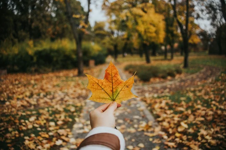 Voyage hors d'Europe : la checklist à faire avant l'automne