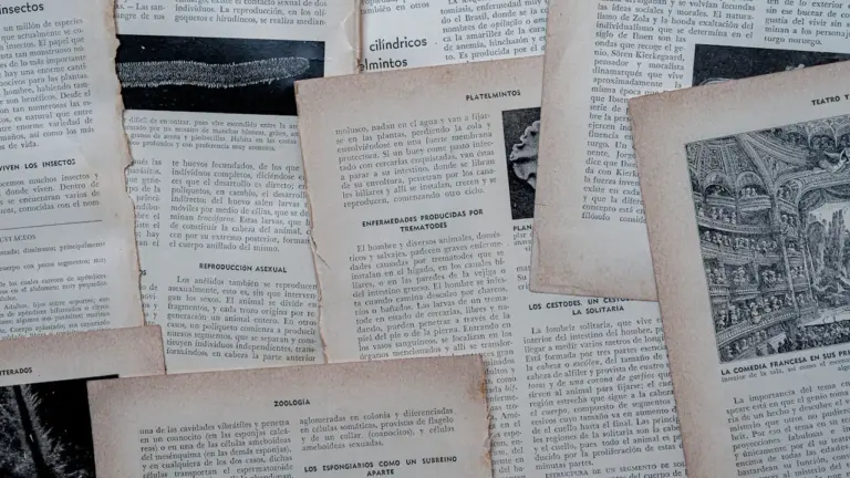 17 octobre 1961 : pourquoi cette date reste un tournant mémoriel