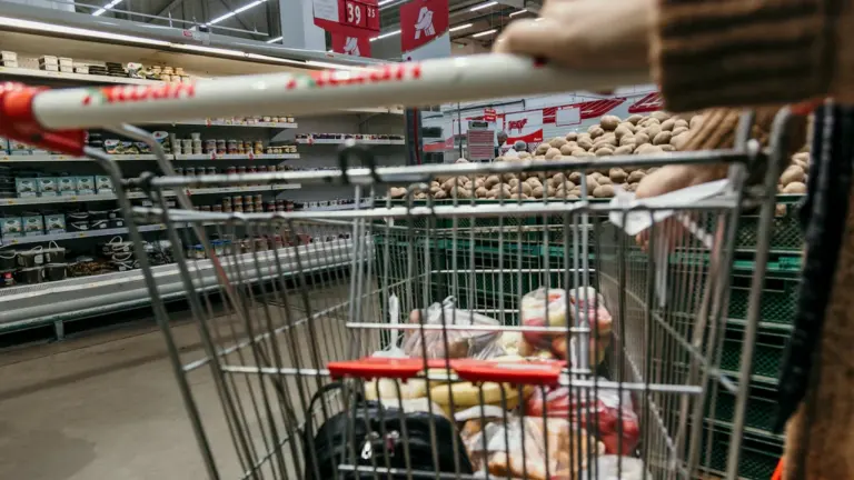 Chèque alimentaire : qui y a droit et comment l’utiliser dès aujourd’hui