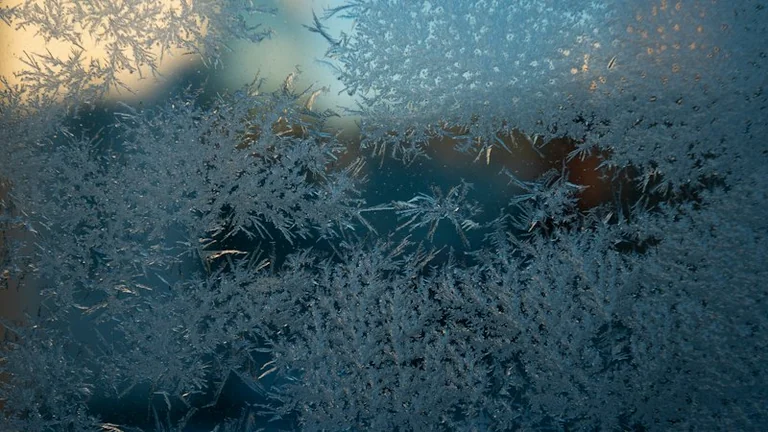 Météo Toussaint 2026 : gelées et vigilance, ce qui change pour votre week-end