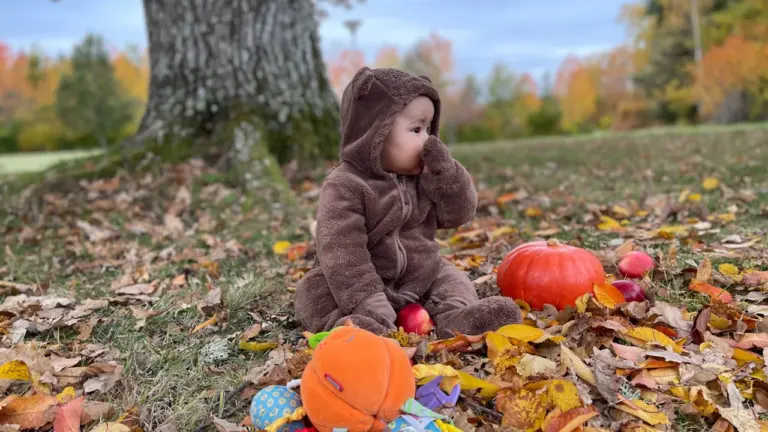 Roubaix : des activités pour les 0-6 ans pendant les vacances d’automne