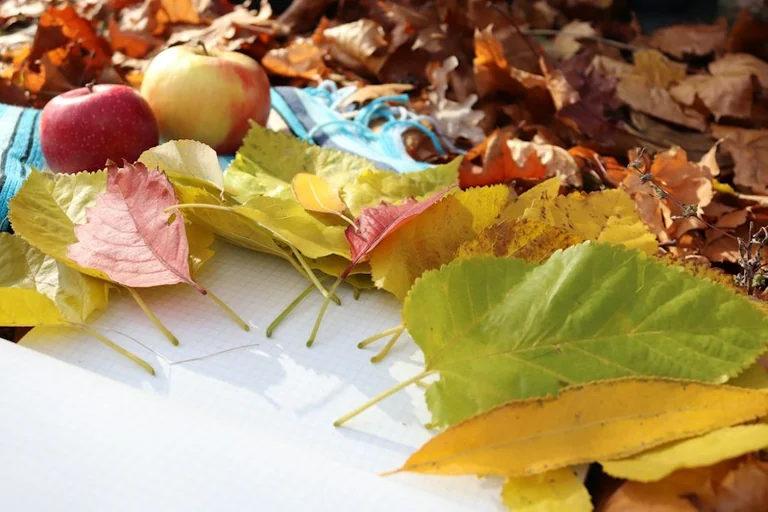 Roubaix : des activités pour les 0-6 ans pendant les vacances d'automne